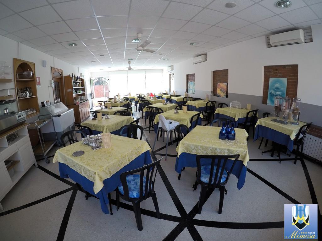 ספוטורנו Hotel Mimosa מראה חיצוני תמונה